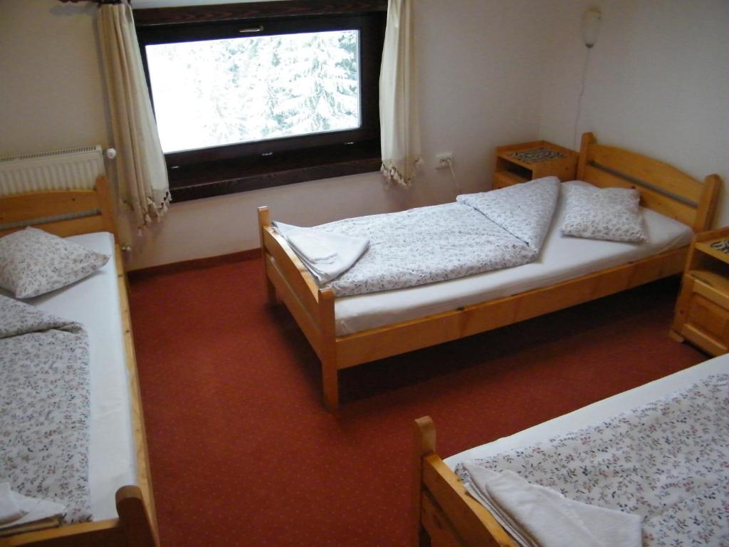 Balu Pension Topliţa Cameră foto